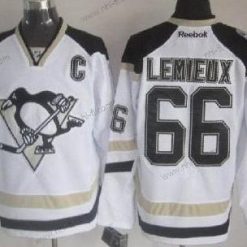 Pittsburgh Penguins #66 Mario Lemieux 2014 Stadium Series Valkoinen Paita – Miesten